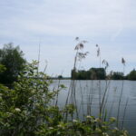 P1280686
